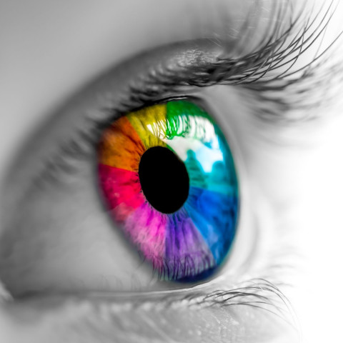 Unlocking Website Design Secrets with Colour Psychology