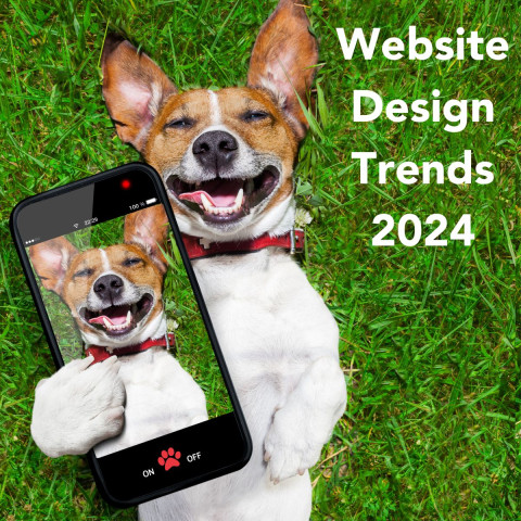 Forecasting the Future: Exciting Website Design Trends for 2024